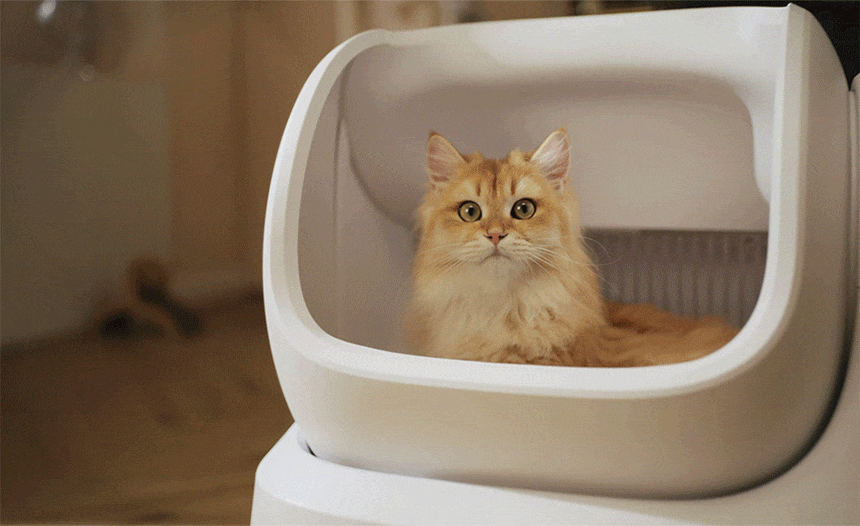 7d7891ddd445109470625c7501fa959b_1772527249_853.gif 7d7891ddd445109470625c7501fa959b_1772527249_853.gif